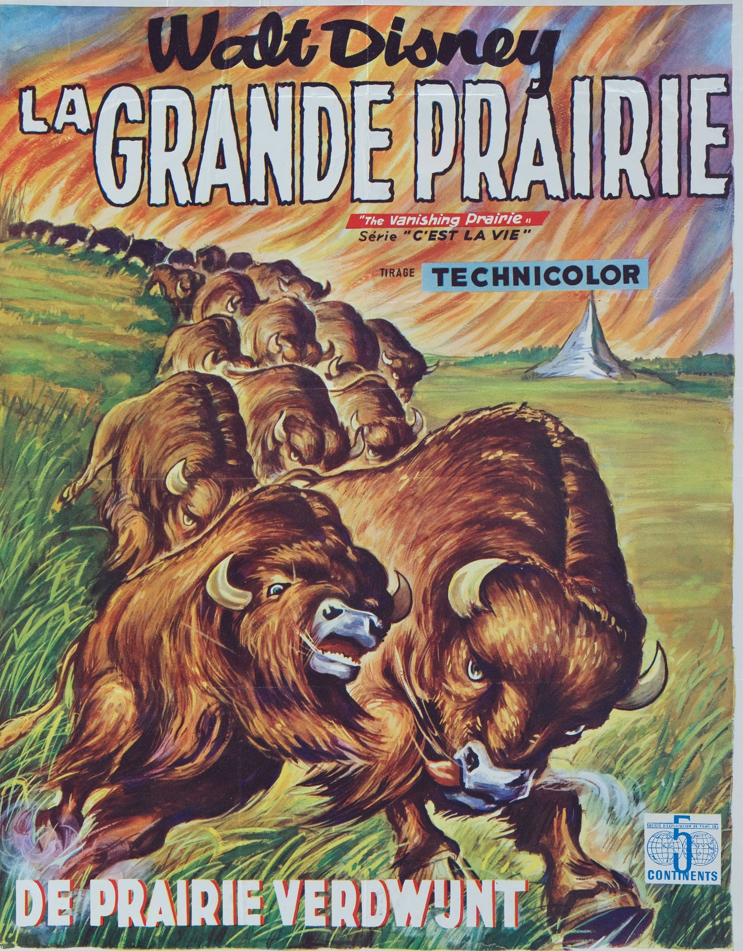 Walt DISNEY : La grande prairie - Affiche originale en couleurs