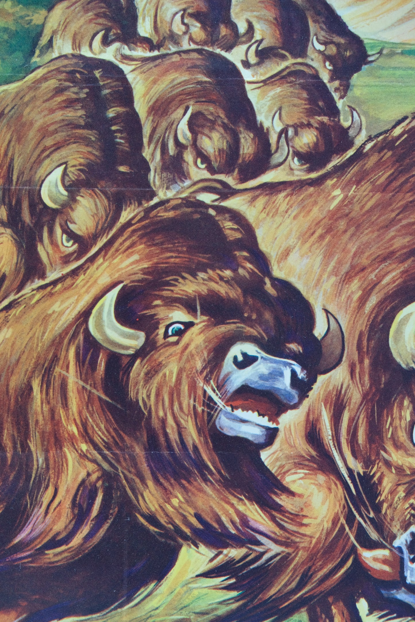 Walt DISNEY : La grande prairie - Affiche originale en couleurs