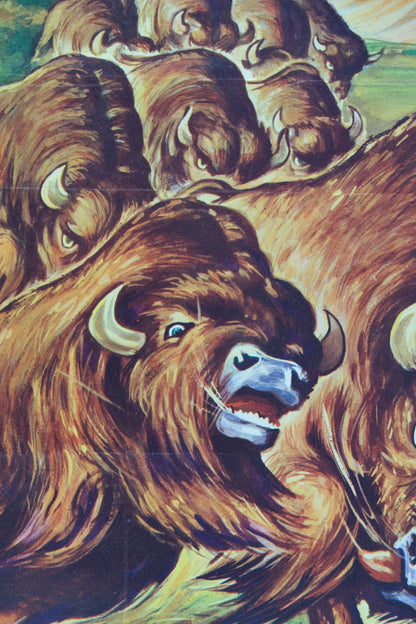 Walt DISNEY : La grande prairie - Affiche originale en couleurs