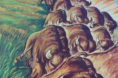 Walt DISNEY : La grande prairie - Affiche originale en couleurs