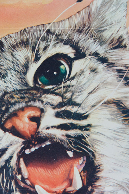 Walt DISNEY : Le désert vivant - Affiche originale en couleurs