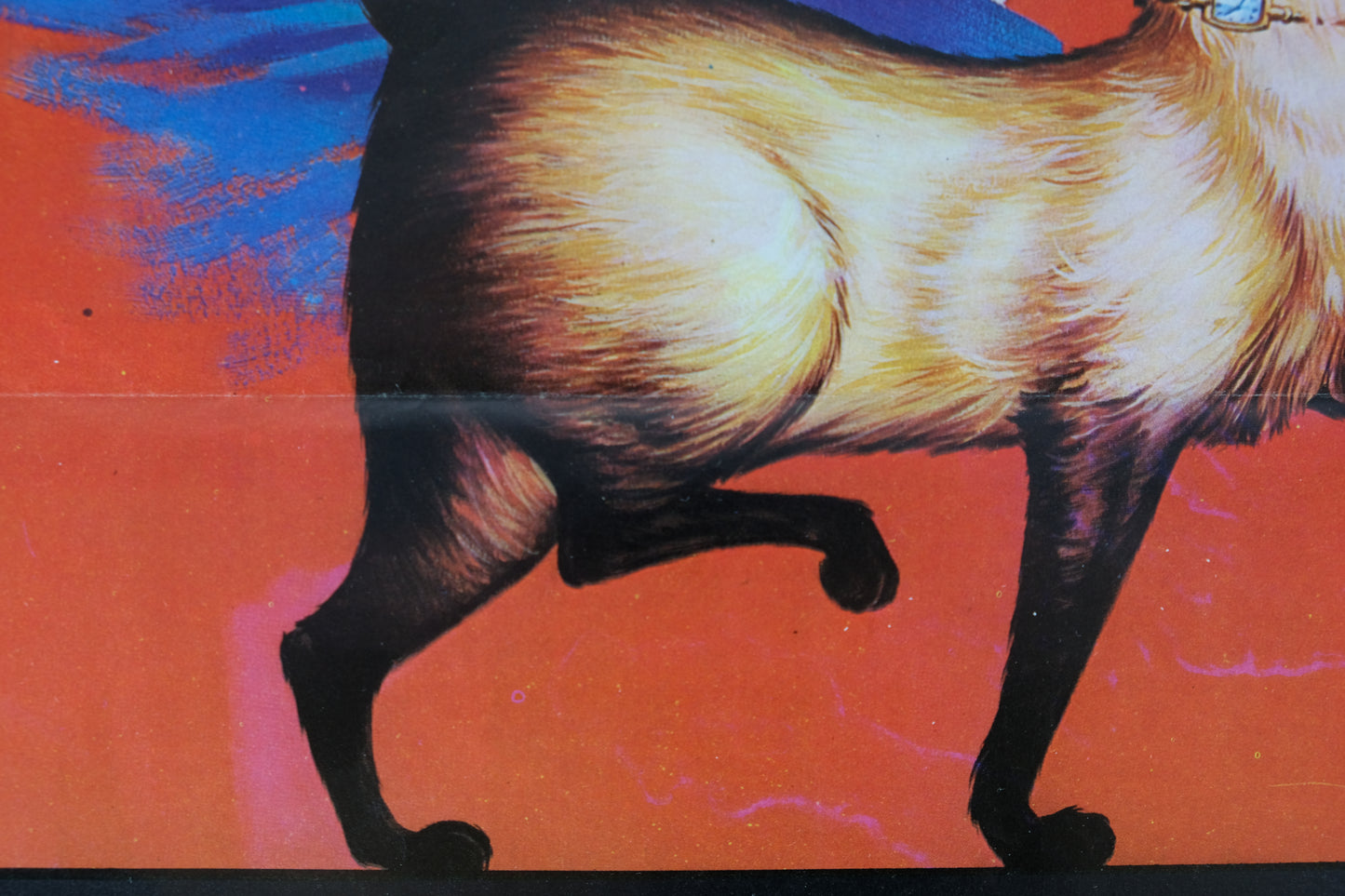 Walt DISNEY : FBI Operazione Gatto - Affiche originale en couleurs