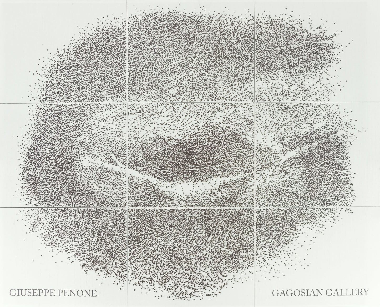 Giuseppe PENONE : Sguardo Incrociato - Affiche originale