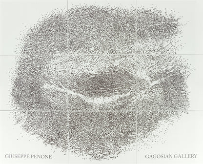 Giuseppe PENONE : Sguardo Incrociato - Affiche originale