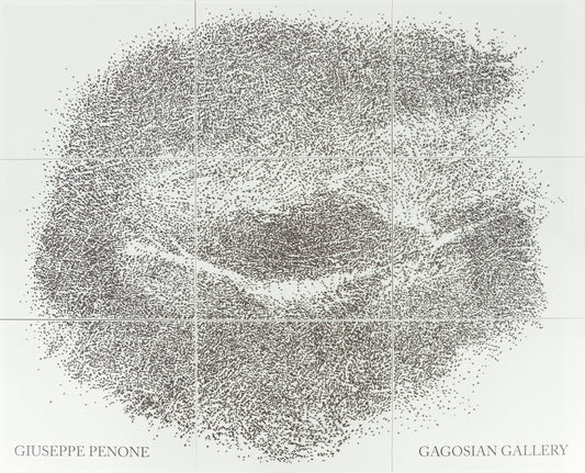 Giuseppe PENONE : Sguardo Incrociato - Affiche originale