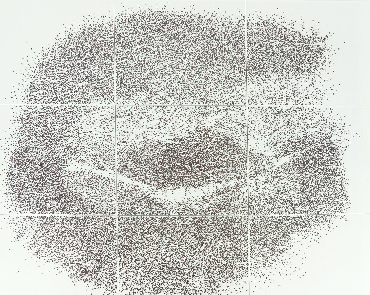 Giuseppe PENONE : Sguardo Incrociato - Affiche originale