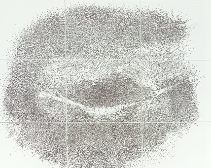 Giuseppe PENONE : Sguardo Incrociato - Affiche originale