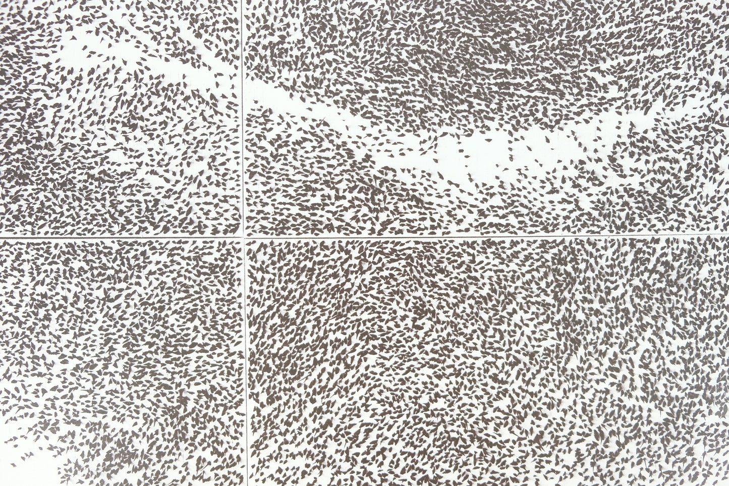 Giuseppe PENONE : Sguardo Incrociato - Affiche originale