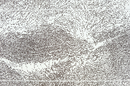 Giuseppe PENONE : Sguardo Incrociato - Affiche originale