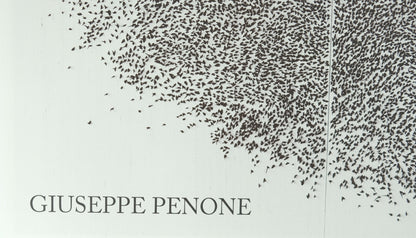 Giuseppe PENONE : Sguardo Incrociato - Affiche originale