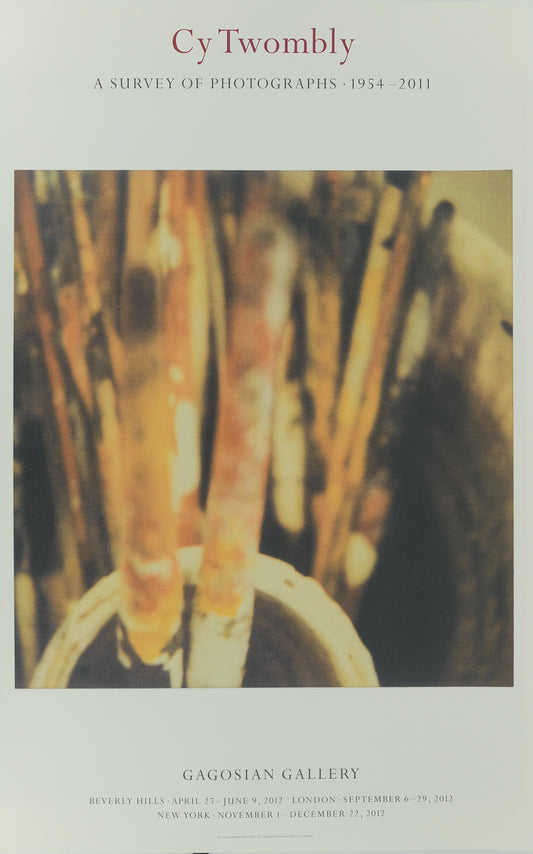 Cy TWOMBLY : Pinceaux - Affiche originale