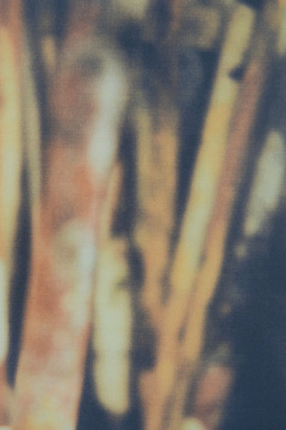 Cy TWOMBLY : Pinceaux - Affiche originale