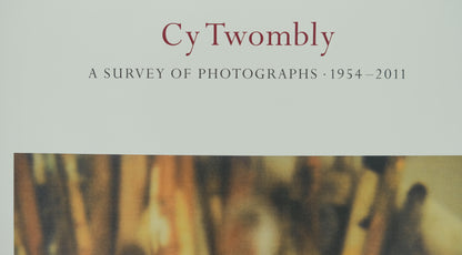 Cy TWOMBLY : Pinceaux - Affiche originale