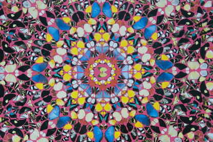 Damien HIRST : Superstition - Affiche originale