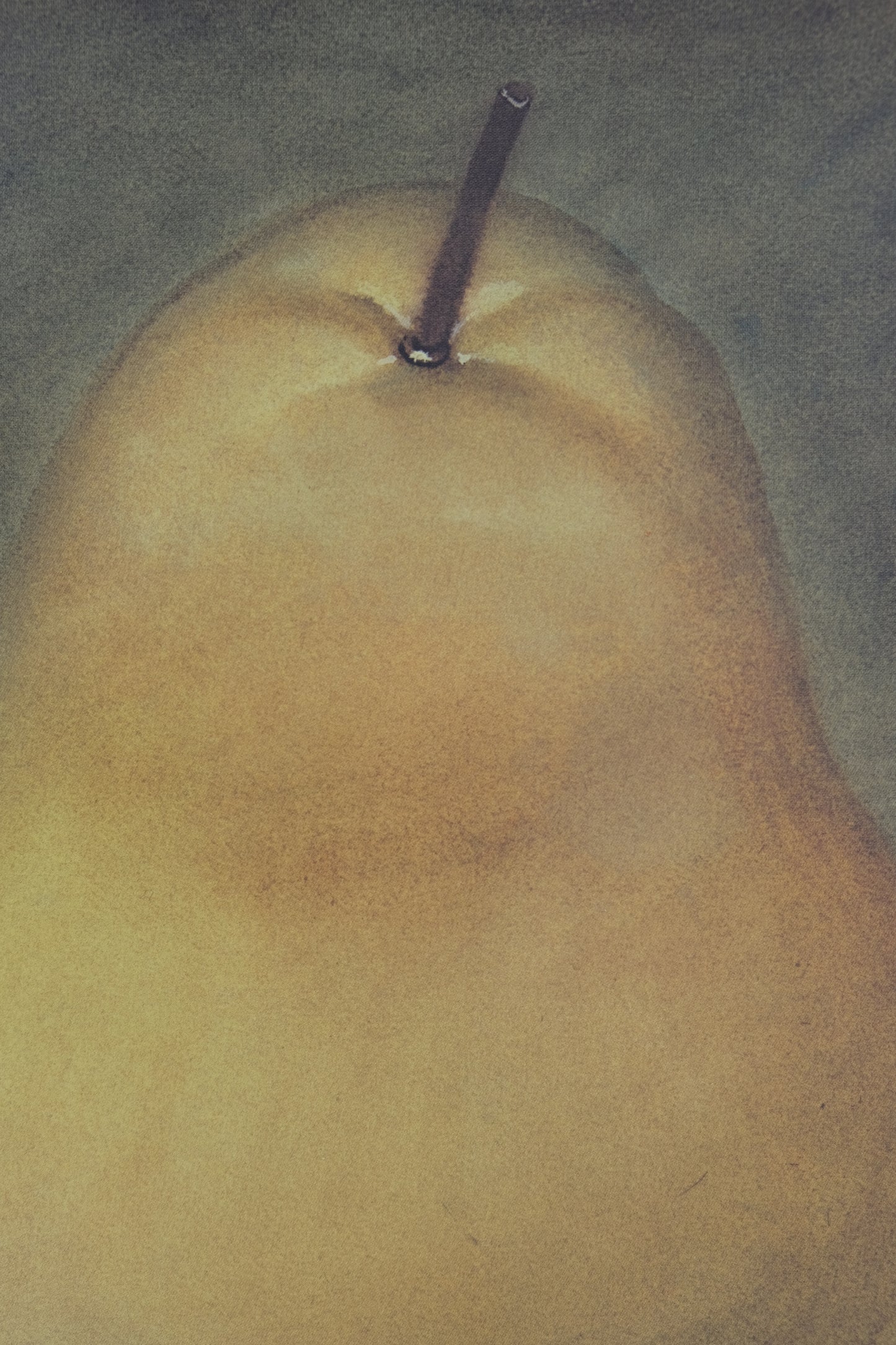 Fernando BOTERO : La poire - Affiche originale signée