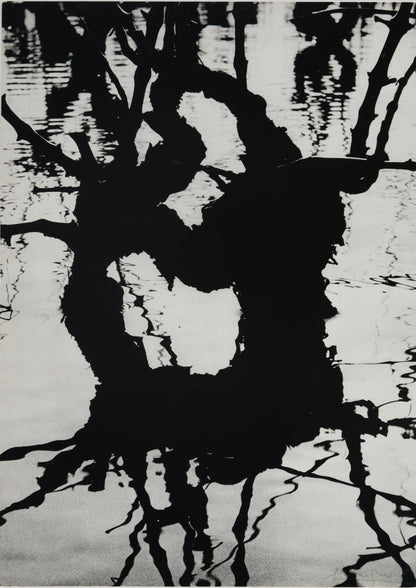 Lucien CLERGUE : Fourgues - Héliogravure originale signée