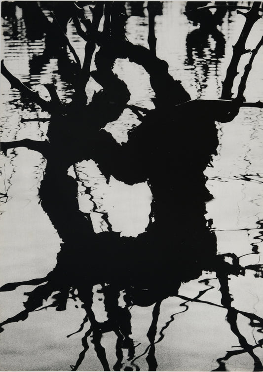 Lucien CLERGUE : Fourgues - Héliogravure originale signée