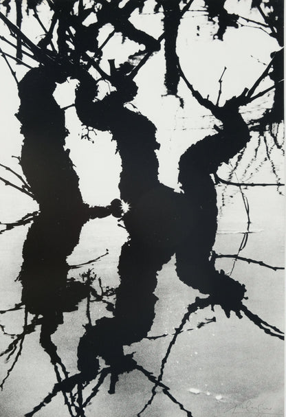 Lucien CLERGUE : Le Marais d'Arles - Héliogravure originale signée