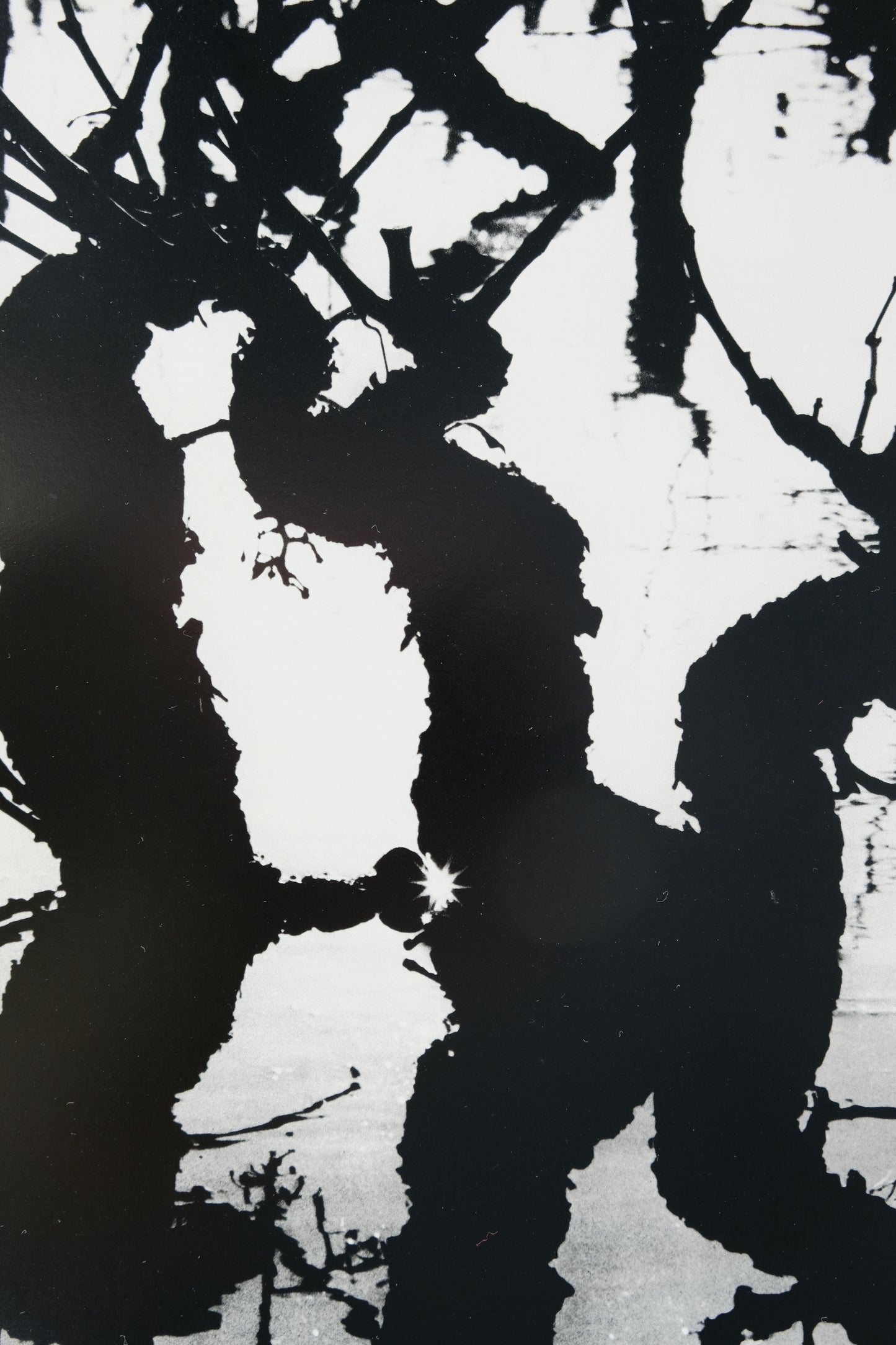 Lucien CLERGUE : Le Marais d'Arles - Héliogravure originale signée