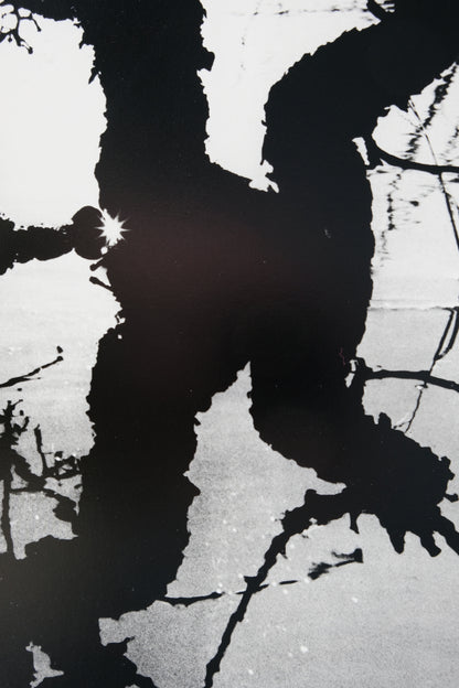 Lucien CLERGUE : Le Marais d'Arles - Héliogravure originale signée