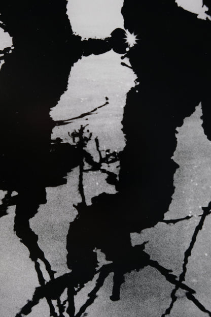 Lucien CLERGUE : Le Marais d'Arles - Héliogravure originale signée