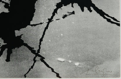 Lucien CLERGUE : Le Marais d'Arles - Héliogravure originale signée
