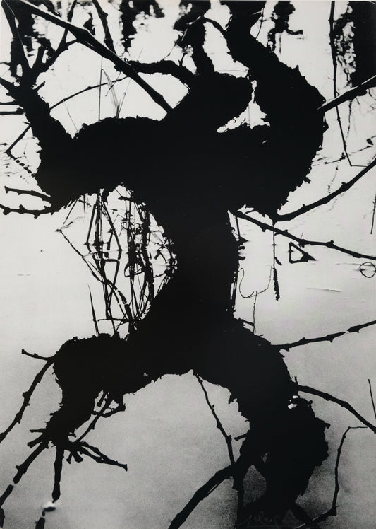 Lucien CLERGUE : Camargue secrète - Héliogravure originale signée