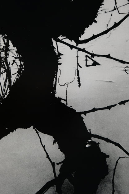 Lucien CLERGUE : Camargue secrète - Héliogravure originale signée