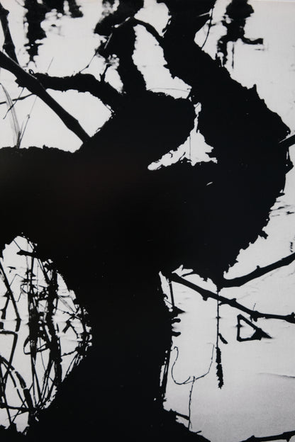 Lucien CLERGUE : Camargue secrète - Héliogravure originale signée