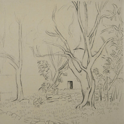 Henri MATISSE : Jardin en Provence - Lithographie