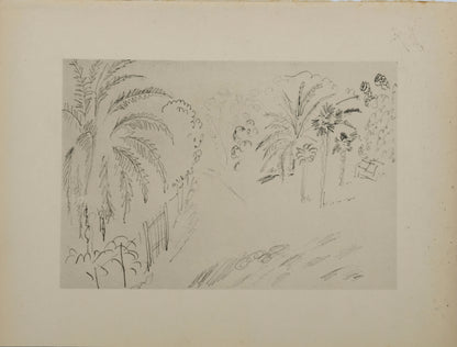 Henri MATISSE : Jardin luxuriant - Lithographie