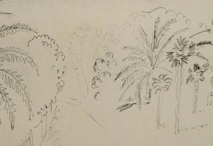 Henri MATISSE : Jardin luxuriant - Lithographie