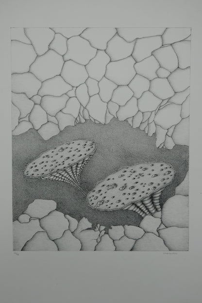 Gochka CHAREWICZ : Harmonia - Lithographie originale signée