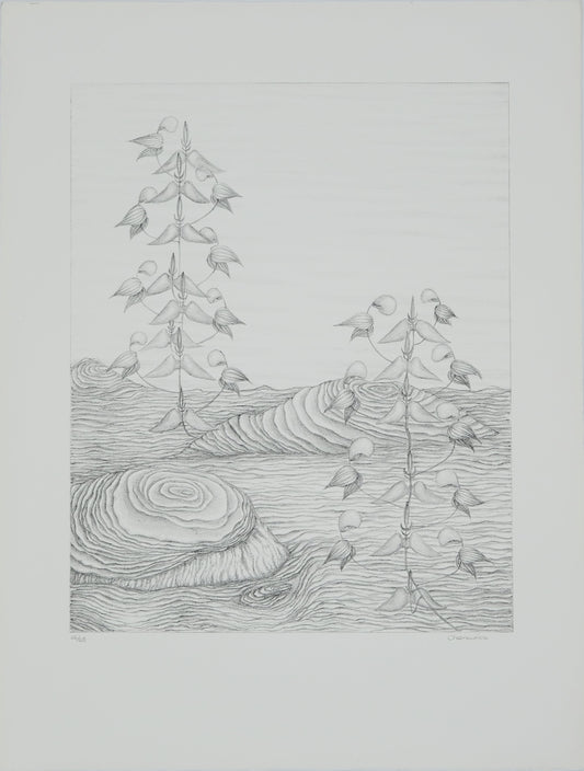 Gochka CHAREWICZ : Fleurs en cloche  - Lithographie originale signée