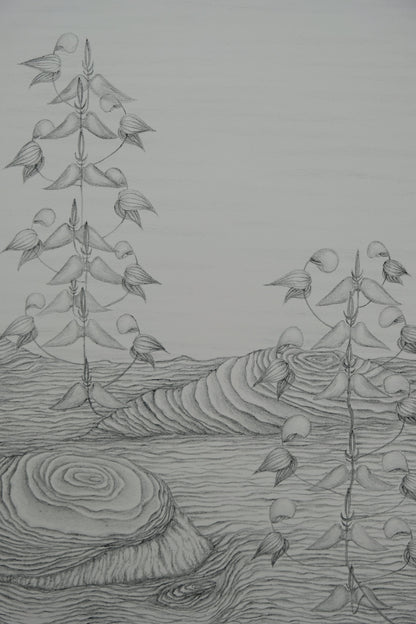 Gochka CHAREWICZ : Fleurs en cloche  - Lithographie originale signée