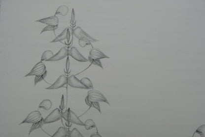 Gochka CHAREWICZ : Fleurs en cloche  - Lithographie originale signée