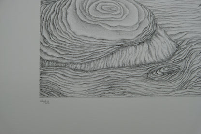 Gochka CHAREWICZ : Fleurs en cloche  - Lithographie originale signée