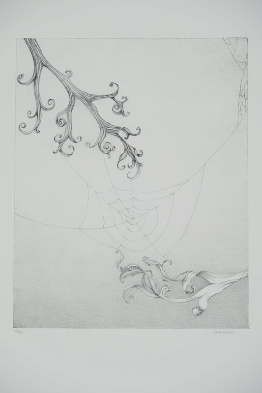 Gochka CHAREWICZ : Toile d'araignée  - Lithographie originale signée