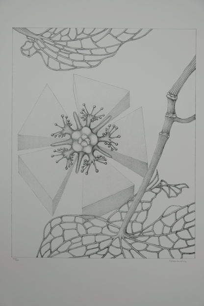 Gochka CHAREWICZ : Fleur triangulaire  - Lithographie originale signée