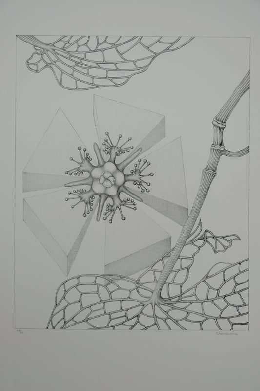 Gochka CHAREWICZ : Fleur triangulaire  - Lithographie originale signée