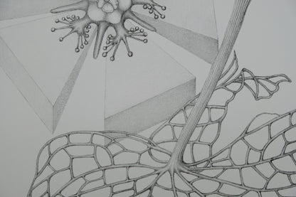 Gochka CHAREWICZ : Fleur triangulaire  - Lithographie originale signée