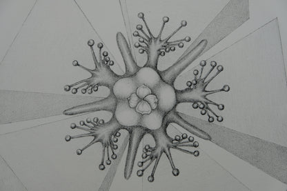 Gochka CHAREWICZ : Fleur triangulaire  - Lithographie originale signée