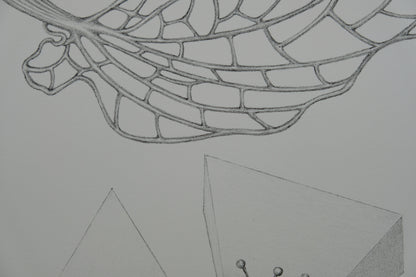 Gochka CHAREWICZ : Fleur triangulaire  - Lithographie originale signée