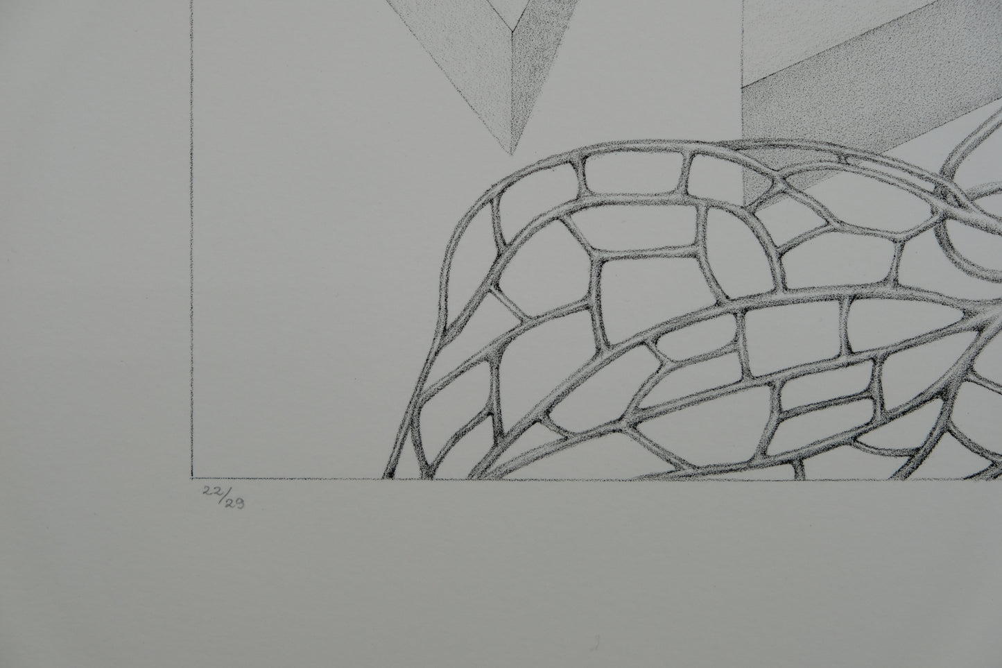 Gochka CHAREWICZ : Fleur triangulaire  - Lithographie originale signée