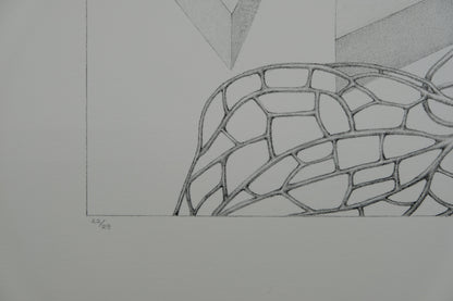 Gochka CHAREWICZ : Fleur triangulaire  - Lithographie originale signée