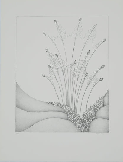Gochka CHAREWICZ : Petits bourgeons- Lithographie originale signée