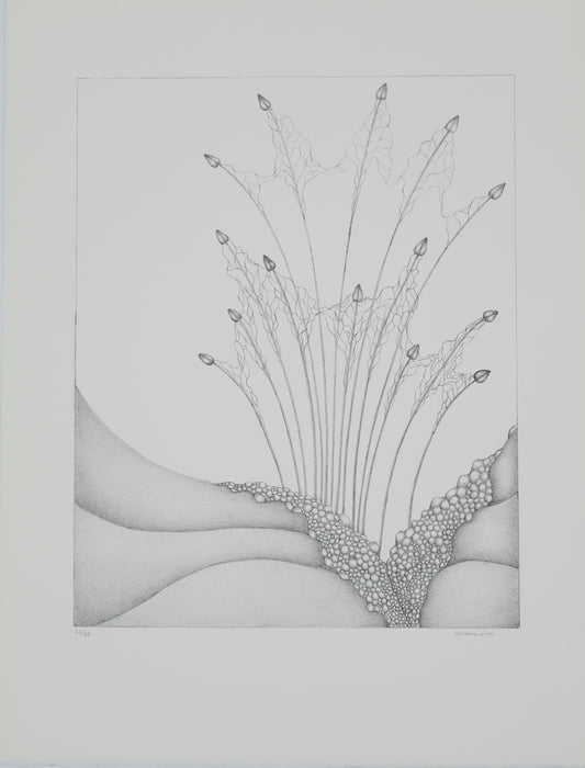 Gochka CHAREWICZ : Petits bourgeons- Lithographie originale signée