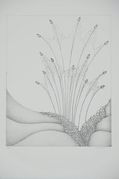 Gochka CHAREWICZ : Petits bourgeons- Lithographie originale signée