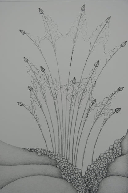 Gochka CHAREWICZ : Petits bourgeons- Lithographie originale signée