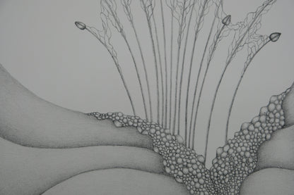 Gochka CHAREWICZ : Petits bourgeons- Lithographie originale signée